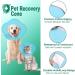 Adjustable Supet Dog Cone Collar for Large and Small Dogs - Blue XXXL - Buy Online on GoSupps.com