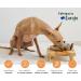 Wolf Belly - 100% Natural Omega 3 for Dogs and Cats (60 Capsules) Fish Oil Capsules Rich in DHA and EPA Anti-inflammatory Joints Healthy Skin and Shiny Coat - Made in EU - Buy Online on GoSupps.com