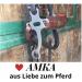 Buy AMKA Hackamore Baroque - 3 Rings Brown Leather Noseband | International Shipping Available - Buy Online on GoSupps.com