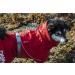 Shop Hurtta Monsoon Eco Hundelegenmantel - Waterproof Dog Rain Jacket 100% Recycled Material Red 35cm | International Shipping - Buy Online on GoSupps.com