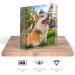 TULLUN Personalised Custom Made Pet Dog Cat Animal Memorial Acrylic Crystal Clear Block Plaque with Photo Text Name Date - Full Print 3D Effect - Buy Online on GoSupps.com