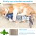 Floppy Fish Cat Toy - Interactive Catnip Toy for Indoor Cats | Realistic Plush Simulation, Washable, Perfect for Biting and Kicking | Grass Carp Design - Buy Online on GoSupps.com