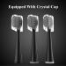 Compact Floss Brush Replacement Heads - 3 Count - Black - Buy Online on GoSupps.com