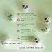 Buy 100% Natural Wool Dryer Balls | Reusable Eco-Friendly Laundry Solution - 6 Pack | International Shipping Available - Buy Online on GoSupps.com