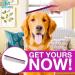 10-Inch Pet Comb with Rounded Stainless Steel Teeth for Comfortable Grooming - Purple - Buy Online on GoSupps.com