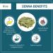 Bixa BOTANICAL Indian Senna Dry Extract - 20% Sennosides | Supports Safe Laxation & Reduces Stomach Odors - Buy Online on GoSupps.com