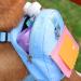 Buy Zonewd Waterproof Dog Backpack | Ideal for Hiking & School | Fits Samoyede Shiba Inu Golden Retriever - M Size - Buy Online on GoSupps.com