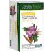 Four O'Clock Herbalist Vitality Joint Relief Herbal Tea Kosher Gluten-Free 6 Packs of 20 Teabags - Buy Online on GoSupps.com