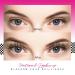CALAILIS Cluster Lashes 120Pcs Mega Volume Superfine Individual Lashes | Reusable Wispy Eyelash Clusters | DIY Eyelash Extension | Natural Look | 703MIX-C - Buy Online on GoSupps.com