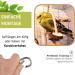 Handmade Natural Wood Budgie Swing for Two Birds | Bird Gallery | Premium Bird Toys - Buy Online on GoSupps.com