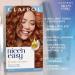 Clairol Nice'n Easy Permanent Hair Dye 6R Light Auburn Hair Color 1 Count - Buy Online on GoSupps.com