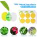 120 Pack Mosquito Patch Stickers for Kids & Adults - Natural Citronella, Lemongrass, and Eucalyptus - Up to 24 Hours Protection - Buy Online on GoSupps.com