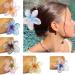 PLCPDM Claw Clip Hair Claw for Women Hair Barrettes Jaw Clip Sequins Hair Clip Girl Hair Styling Accessories Yellow - Buy Online on GoSupps.com