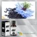 Black Seed Essential Oil - Non-GMO Verified - Ideal for Skincare, Hair Care - Aromatherapy Diffuser - Massage and Relaxation Oil - Earthy, Spicy & Peppery Aroma - 2 FL Oz with Dropper Black Seed 2 Fl Oz (Pack of 1) - Buy Online on GoSupps.com