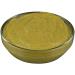 French's Spicy Brown Mustard 105 oz - Bold Flavor in a 105 Ounce Bottle - Buy Online on GoSupps.com