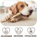 Petlove Coffee Wood for Dogs | Chewing Wood Dog Toys & Dental Care | Caffeine-Free Wooden Bones for Large Dogs | Size L - Buy Online on GoSupps.com