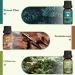 Nature Essential Oils Set ARVIDSSON Natural Fragrance Oil Premium Scented Oils for Diffuser Fresh Cut Grass Forest Pine Ocean Breeze Rain Sandalwood Oakmoss - Buy Online on GoSupps.com