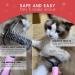 Goeswell Pet Deshedding Brush & Dematting Comb Grooming Kit - Double Sided Undercoat Rake for Dogs & Cats - Includes Nail Clippers & File - Pink (3 Pack) - Buy Online on GoSupps.com