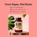Algae Calcium & Vegan Omega 3 & Vitamin B Complex Bundle - Calcium Supplement from Red Algae Plant Based DHA & EPA Fatty Acids Essential B Vitamins - Buy Online on GoSupps.com