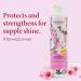 Jean & Len Almond & Keratin Shampoo - Repair Damaged Hair Reduce Breakage & Frizz | Vegan & Silicone-Free | 10.14 Fl Oz - Buy Online on GoSupps.com