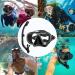 Findway Dry Snorkel Set for Adults - Anti-Fog Scuba Diving Mask with Wide View - Professional Snorkeling Gear in Black - Buy Online on GoSupps.com