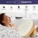INTER-ESQUE Bamboo Scalp Massager & Shampoo Brush - Gray Head Massage Brush for Ultimate Relaxation & Hair Care - Buy Online on GoSupps.com