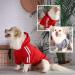 Buy Stylish Chihuahua Hoodies & Sweaters - Warm Dog Clothes for Small Dogs | Shop Now! - Buy Online on GoSupps.com