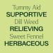 Plant Therapy Tummy Aid Essential Oil Blend Pre-Diluted Roll-On 10 mL (1/3 oz) 100% Pure Soothing Digestive Relief - Buy Online on GoSupps.com
