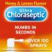 Ultra Chloraseptic Throat Spray 15ml Honey & Lemon - Fast Relief for Sore Throat - Buy Online on GoSupps.com