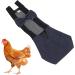 Buy Adjustable Breathable Chicken Diapers - Washable & Reusable Duckling Diapers for Geese Hens & More - International Shipping Available - Buy Online on GoSupps.com