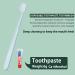 HiTuYi Manual Disposable Hotel Toothbrush with Toothpaste - 30pcs per Case - Buy Online on GoSupps.com