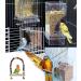Automatic Acrylic Bird Feed Dispenser - Transparent Swing Toys & Pepperwood Grinder for Parrots | International Shipping - Buy Online on GoSupps.com