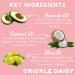 Crickle Daisy Lip Treat Balm - Hydrating & Nourishing Lip Balm with Avocado Olive and Coconut Oils - Softening Lip Moisturizer & Protection for Very Dry Lips - Sugar Blossom Scented 0.7oz - Buy Online on GoSupps.com