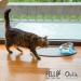 Felli Pet Oblik 0.5 Cups Shallow Dish Sapphire - Cat Dog Food Bowl - Buy Online on GoSupps.com