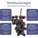 HydraLyte Plus Immunity - Electrolytes + Vitamin C Powder + Elderberry (Sambucus Nigra 35:1 Concentrated Black Elderberry Powder) + Zinc - Daily Hydration Powder With Immune Support for Ages 19+ - Buy Online on GoSupps.com