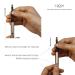 Retractable Automatic Lid Professional Lip Brush 1pc - Champagne Gold - Buy Online on GoSupps.com