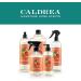 Caldrea Hand Wash Soap 10.8 oz - Aloe Vera, Olive Oil, Essential Oils - Tangelo Palm Frond Scent - Buy Online on GoSupps.com