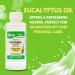 Arymar 100% Pure Eucalyptus Essential Oil - Refreshing Aromatherapy Oil 2 fl oz, Pack of 3 - Buy Online on GoSupps.com