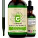 2oz Chlorophyll Liquid Drops - Natural Concentrate for Water - Buy Online on GoSupps.com