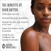 Raw Shea Butter 5 LB - Natural Skin Care for Face, Hair & Body - Unrefined Grade A - 100% Pure African Handmade - Organic & Fair-Trade - 5 Pound - Buy Online on GoSupps.com