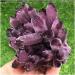 Natural Crystal Rough Very Beautiful Natural Amethyst Quartz Minerals Remove Negative (Size : 500g-600g) (Size : 400g-500g) - Buy Online on GoSupps.com