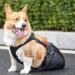 Drag Bag Dragging Bag Recovery Carrier Bag Wheelchair Alternative - Adjustable Breathable Back Leg Drag Bag for Disabled Dog Comfort and Protection Jiahua Black Small - Buy Online on GoSupps.com