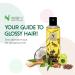 VoilaVe Organic Infused Hair Growth Oil | Natural Treatment for Weak, Dry & Damaged Hair - 100ml - Buy Online on GoSupps.com