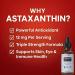 Astaxanthin Liquid Drops Infused with Cold Pressed Extra Virgin Olive Oil 12mg per Serving Natural Antioxidant Support 2 fl oz Dropper Bottle Vegan Non-GMO - Buy Online on GoSupps.com