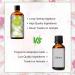 PHATOIL White Musk Fragrance Oils 3.38FL.OZ Large Volume White Musk Oil Perfect for Aromatherapy Diffuser Great for DIY Candle and Scented Products Making Gift for Friends with Glass Dropper - Buy Online on GoSupps.com