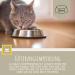 Emma Cat Vitamins 100ml | High Dose B Complex & Essential Nutrients for Immune Support | Vitamins A B12 D E Iron Zinc Selenium & L-Lysine - Buy Online on GoSupps.com