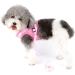 Ranphy Cat Dishes & Adjustable No-Pull Leash | Reflective Small Dog Harness - Soft Mesh Padded Hiking Jacket (L Chest 44cm) - Pink - Buy Online on GoSupps.com