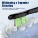 Biswitif Spare brushes compatible with Philips Sonicare electric toothbrush brush heads toothbrush attachment for Phillips Sonicare attachments suitable for daily precision - Buy Online on GoSupps.com