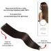 Tape in Brazilian Human Hair Extensions 100% Remy Human Hair Glue in Extensions Balayage Seamless Silky Straight Skin Weft Hair(18Inch #2 Dark Brown 20pcs 40g) - Buy Online on GoSupps.com