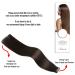 Tape in Hair Extensions 18 Inch 2 Dark Brown 100% Remy Human Hair 20 Pcs Package - Silky Straight for Fashion Women - Buy Online on GoSupps.com